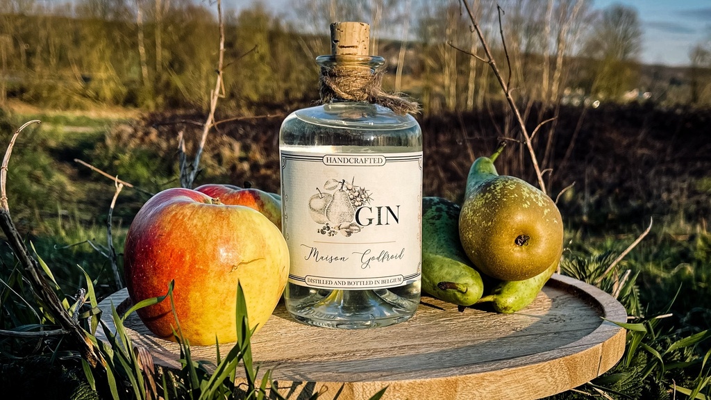 Gin de la Maison Godfroid 50cl