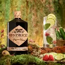 Hendrick's Flora Adora Gin 70cl