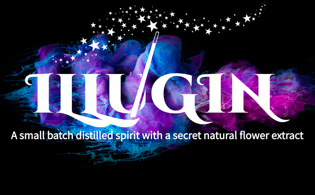 Illugin Blueberry 50cl