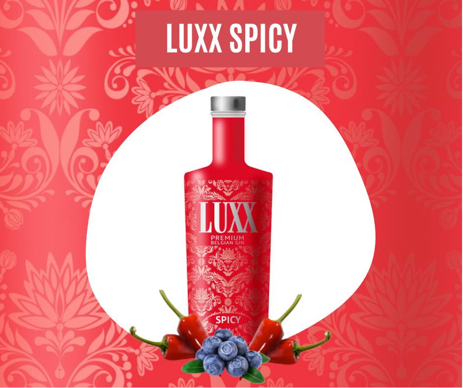 Luxx Gin Spicy 70cl