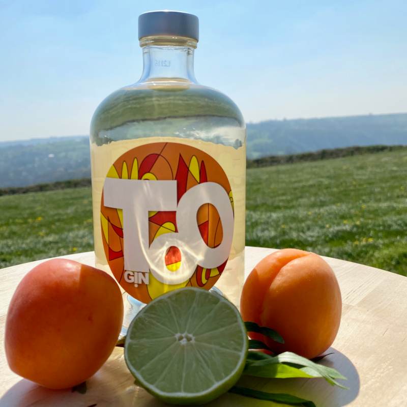 Too Gin Summer 50cl